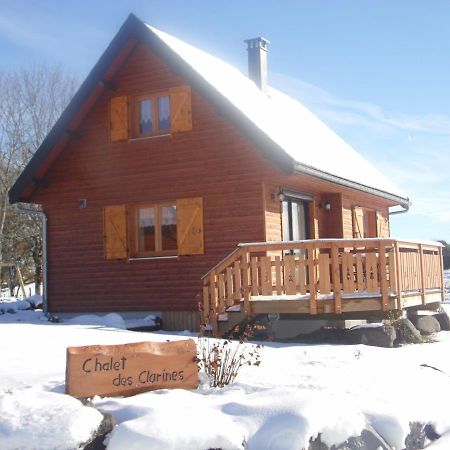 Chalet Des Clarines Saint-Genès-Champespe 外观 照片